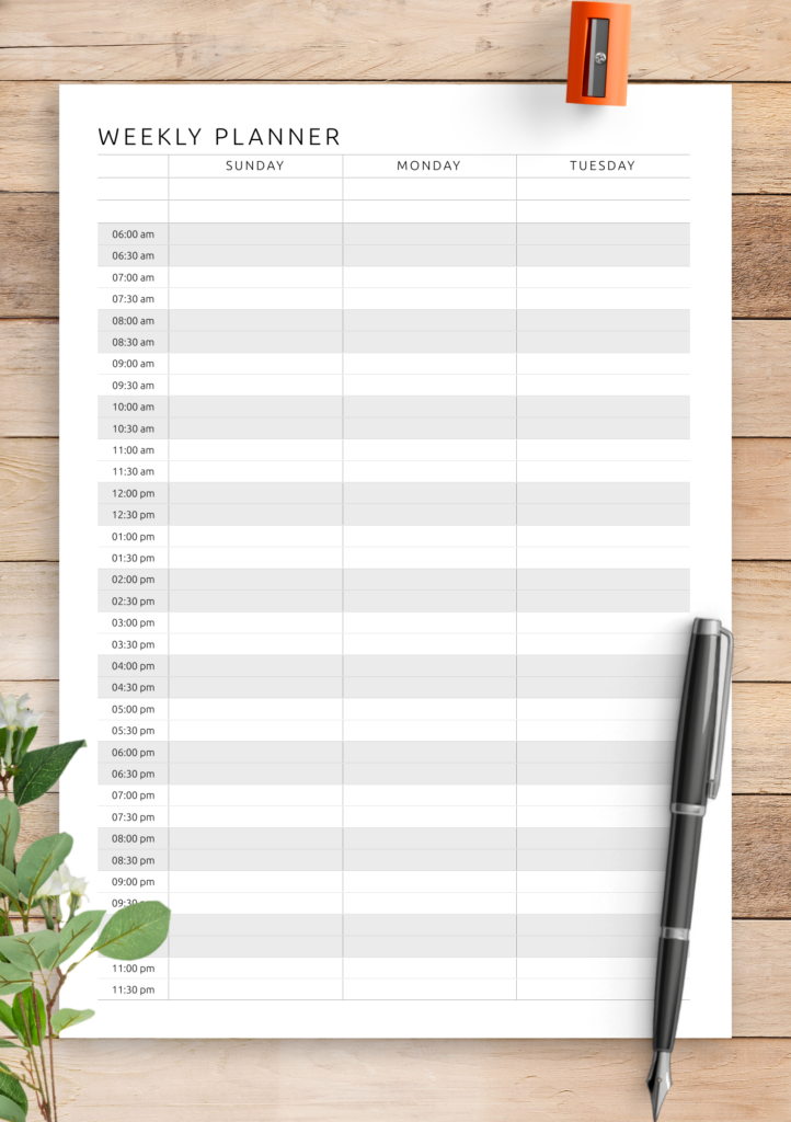 Download Printable Two page Weekly Hourly Scheduler PDF