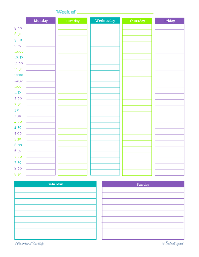 Download Printable Two Page Weekly Hourly Scheduler Pdf Printable 2 