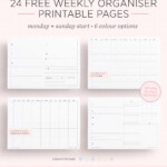 Weekly Planner A3 Different Colours Printable Paper Stationery Jan